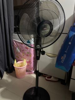 (Category: ) located in . Submitted by admin-11113 (Listing ID 1280804952, Image 1). Description: .