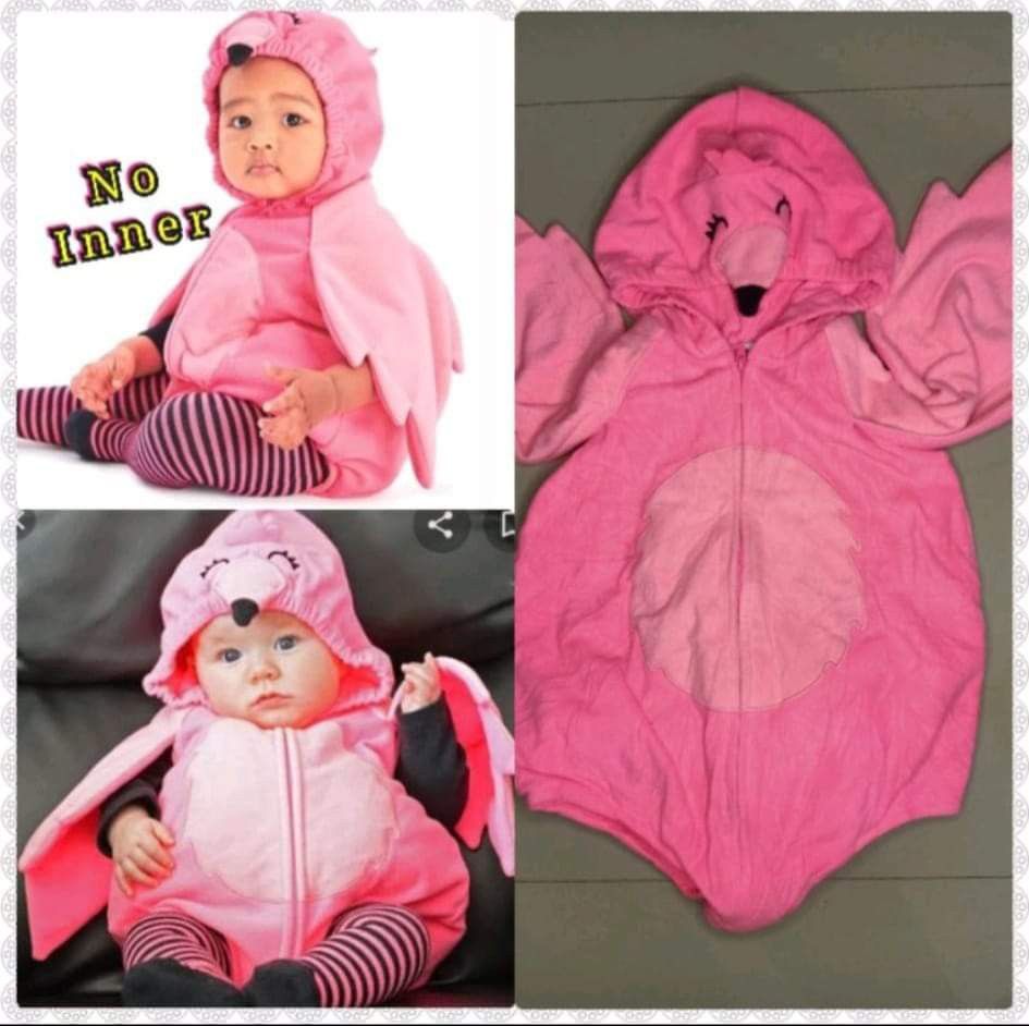 Carters flamingo costume 2025