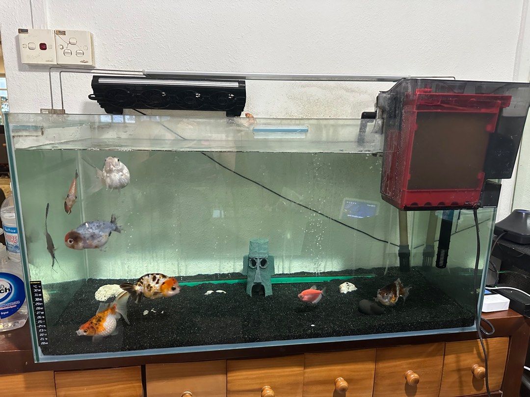 Fish tank with full equipment for sale