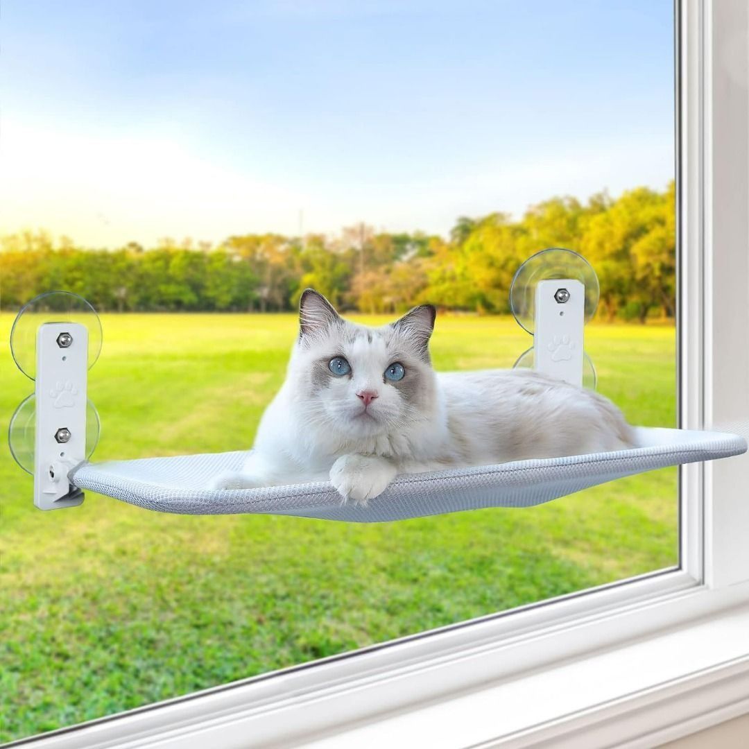 Suction cup cat window hot sale seat