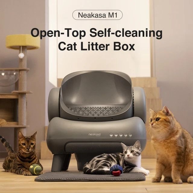 Top self cleaning litter boxes hot sale