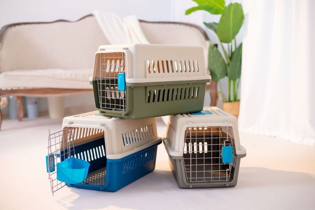 Pet air shop box