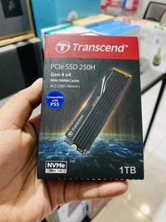 Transcend 1TB PCIe M.2 SSD 2280 250H  (80mm) NVMe TS1TMTE250H