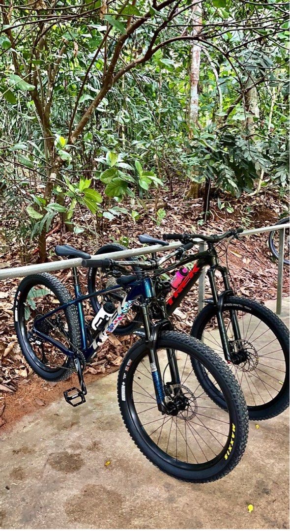 Trek roscoe 8 sale deals