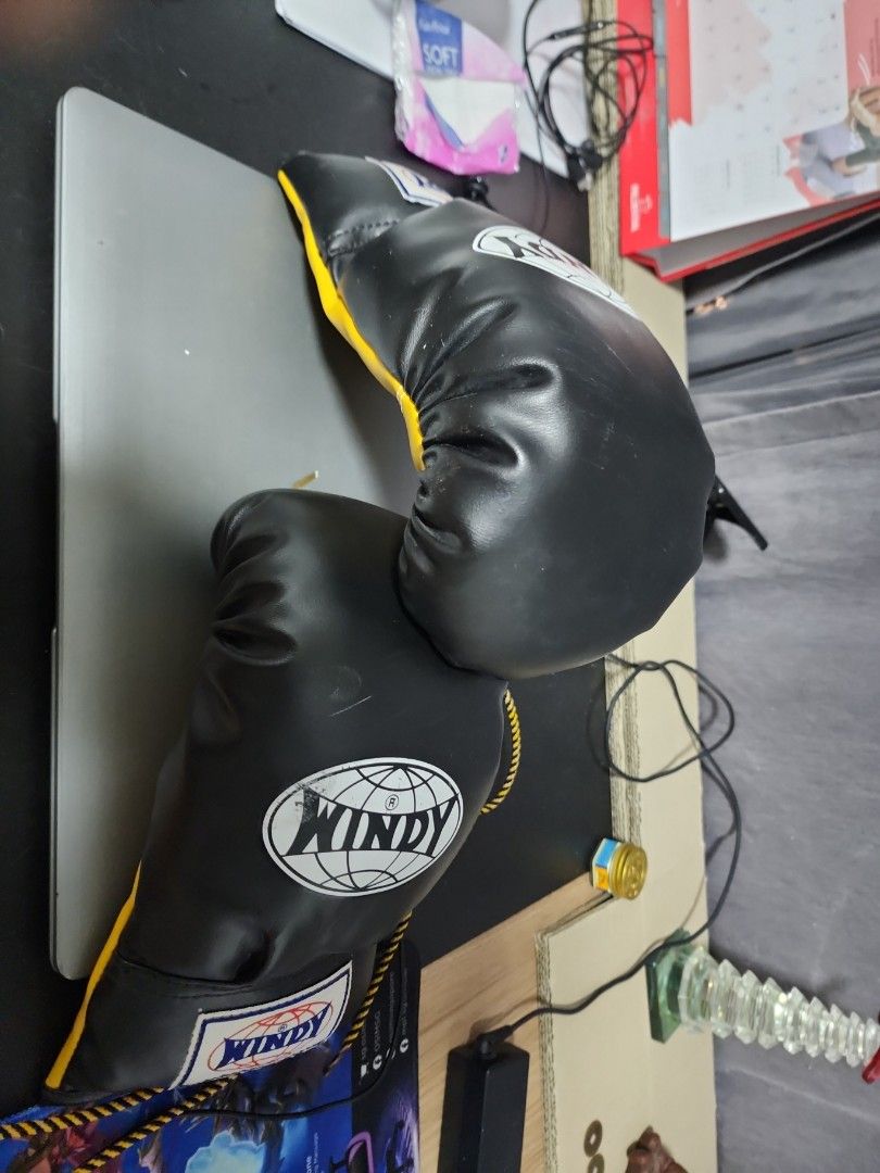 Windy boxing gloves 8 oz, Sports Equipment, Other Sports Equipment and