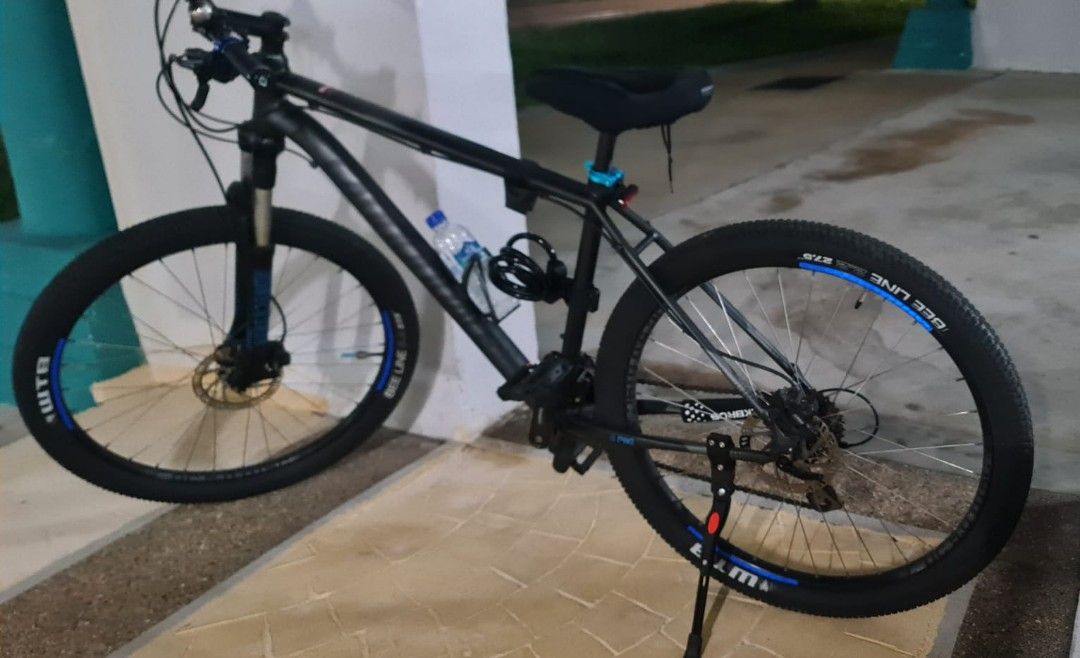 Cannondale trail 2018 online