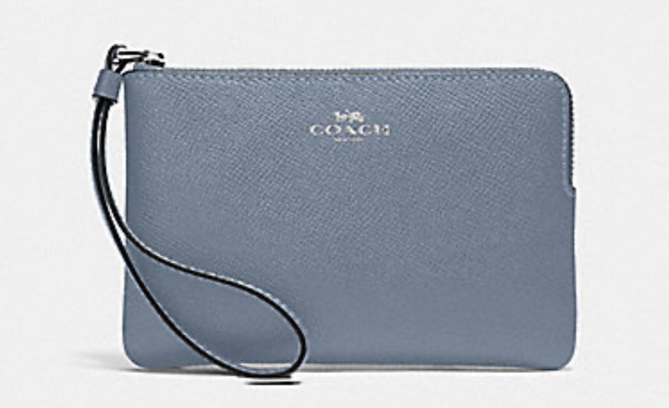 Blue coach wristlet top
