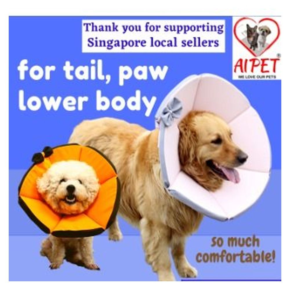 Dog Cone Funnel Shape Comfy E Collar. For lower body legs paws