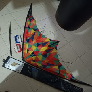 Affordable large kite For Sale
