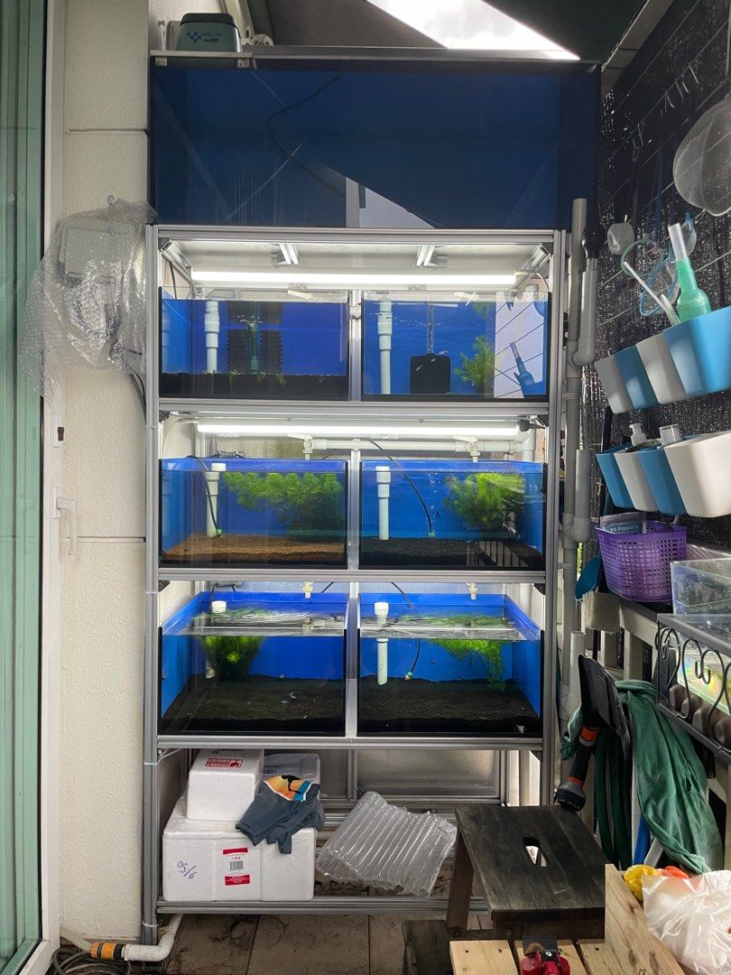 Fish Tanks Rack Semi Auto