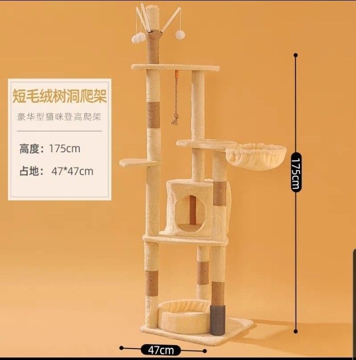 Free cat condo clearance