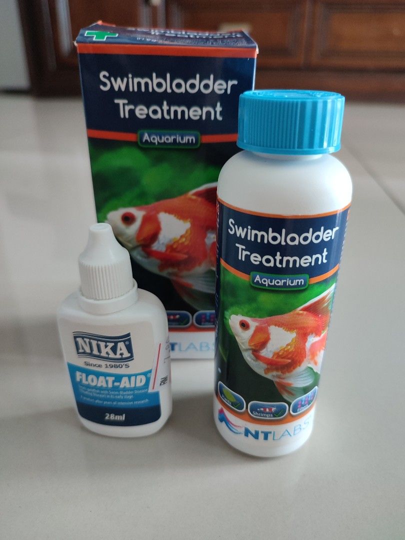 Goldfish Swim Bladder Disease Aid, Pet Supplies, Homes & Other Pet ...