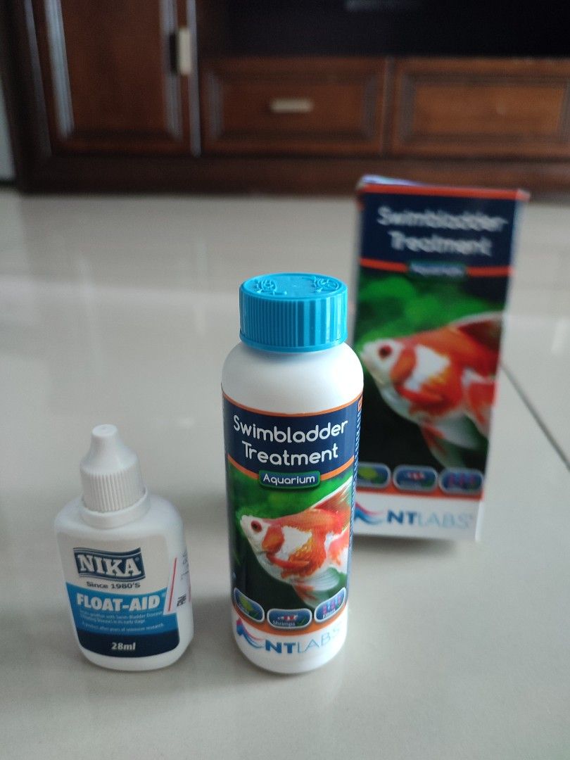 Amazon.com : Zelphvt 2 Pcs Silk Fish Tank Plants, Silk Plants for Fish ... - Medical Equipment For Aquarium Goldfish