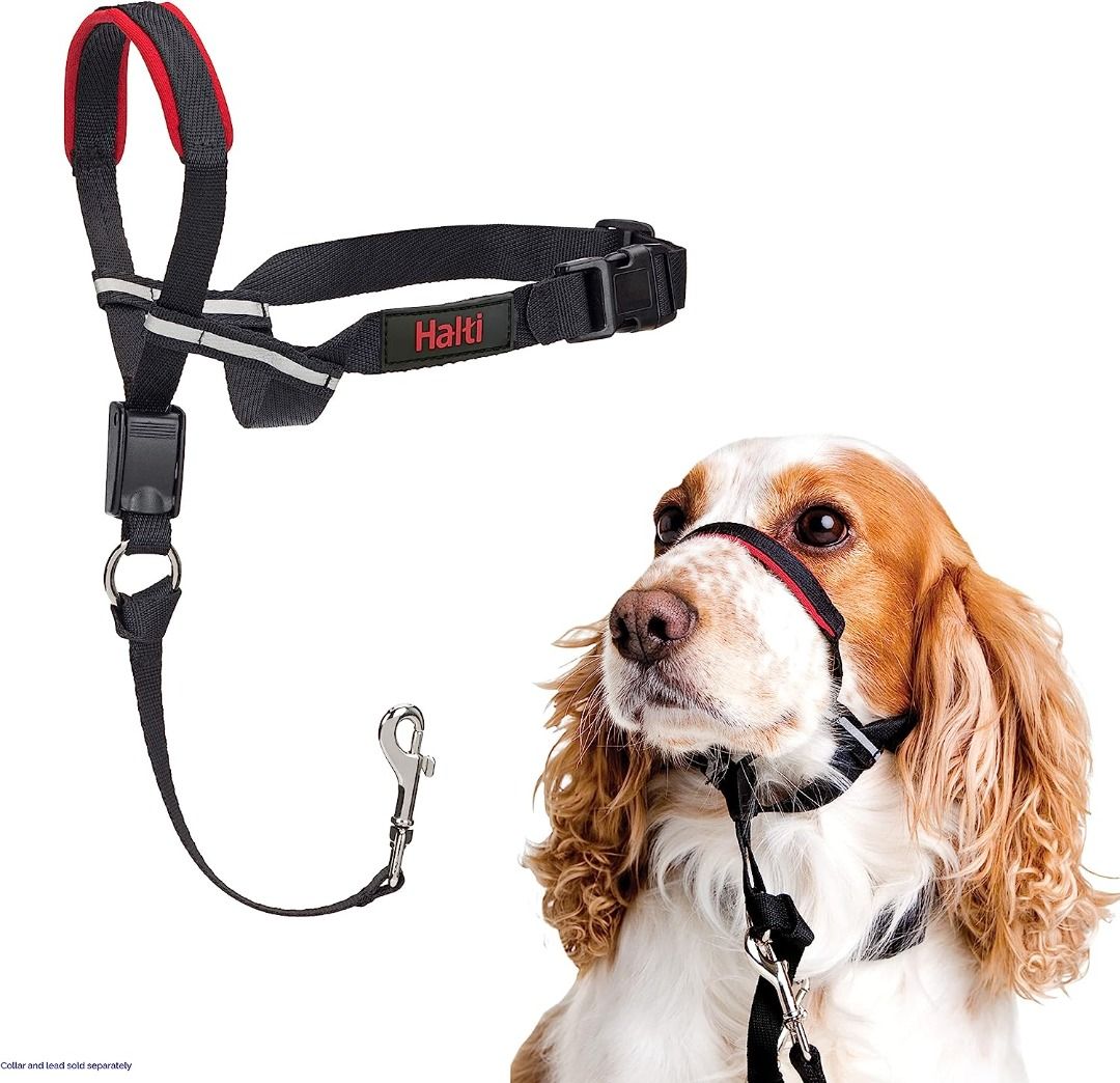Head deals collar leash
