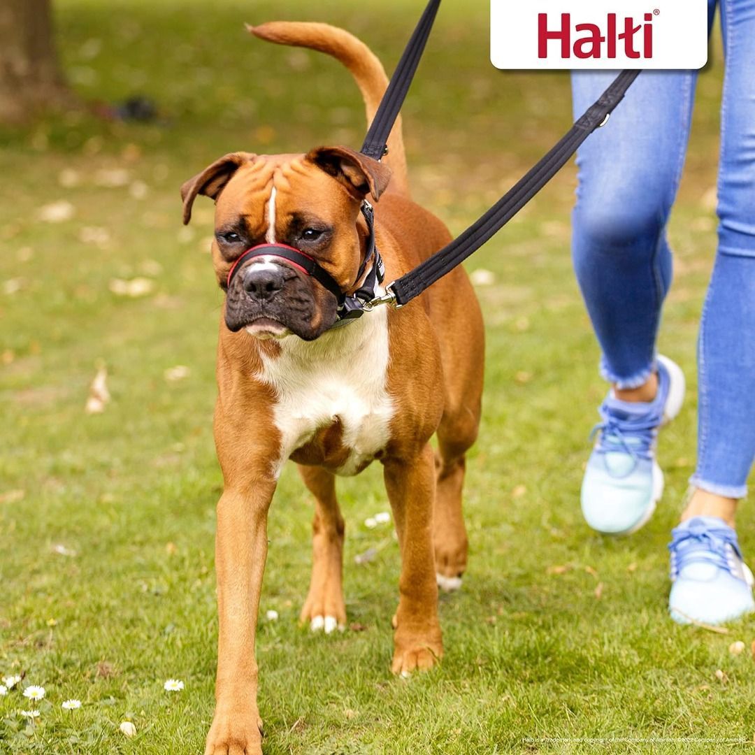 Easy store lead collar