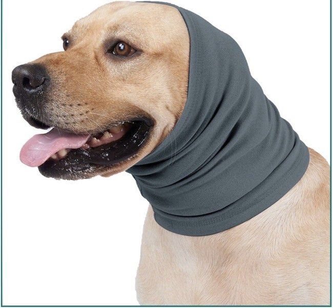 Dog ear wrap deals