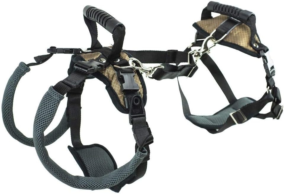 Petsafe hotsell adjustable coupler