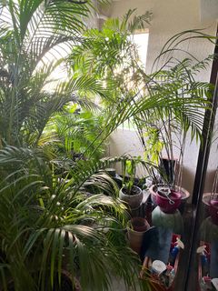 (Category: ) located in . Submitted by cmdcmd (Listing ID 1281136523, Image 1). Description: .