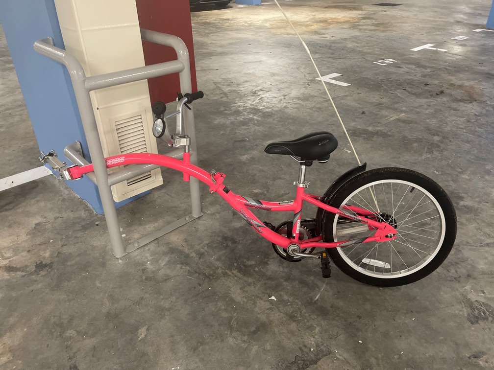 Pull along bike