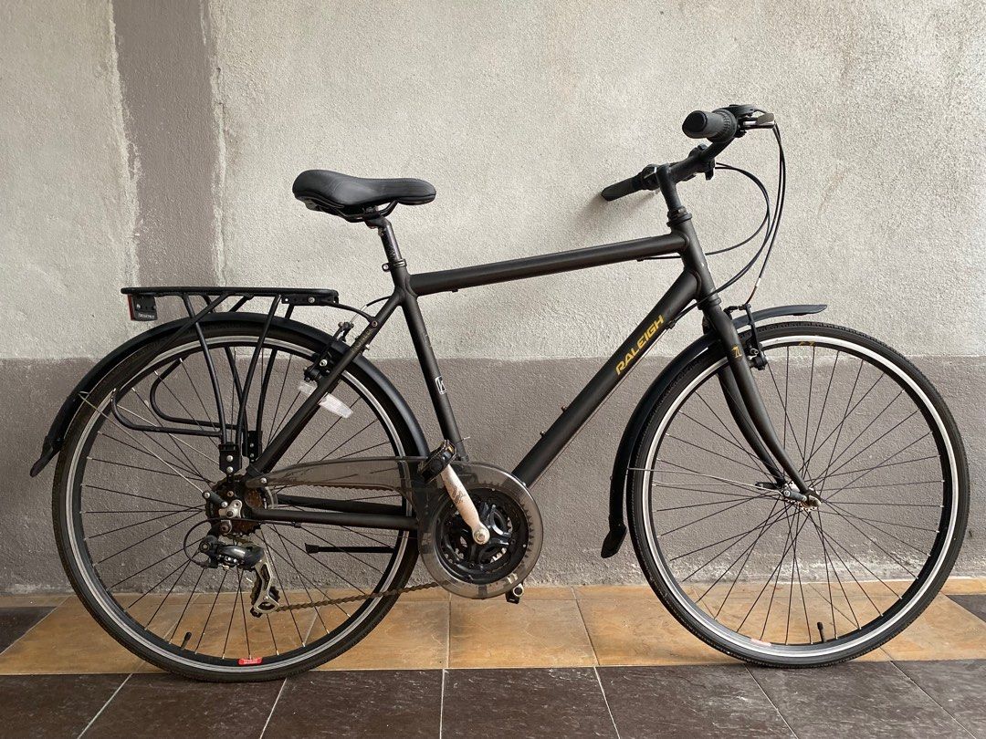 Raleigh pioneer sales hybrid