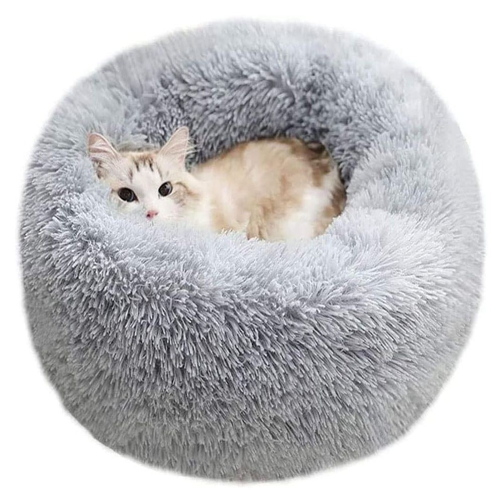 Pet store bed clearance