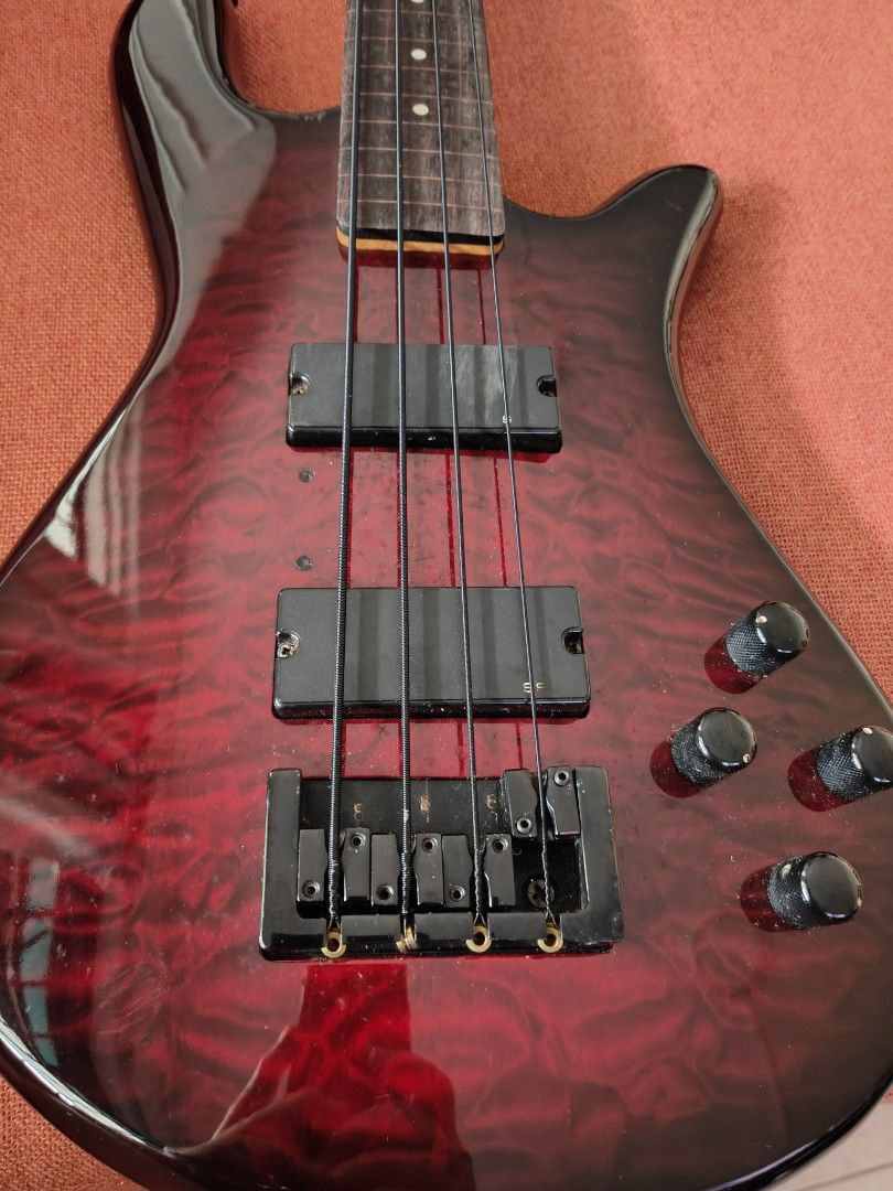 Spector Fretless Bass Guitar