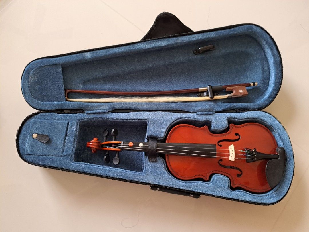 Used violin case for sale best sale