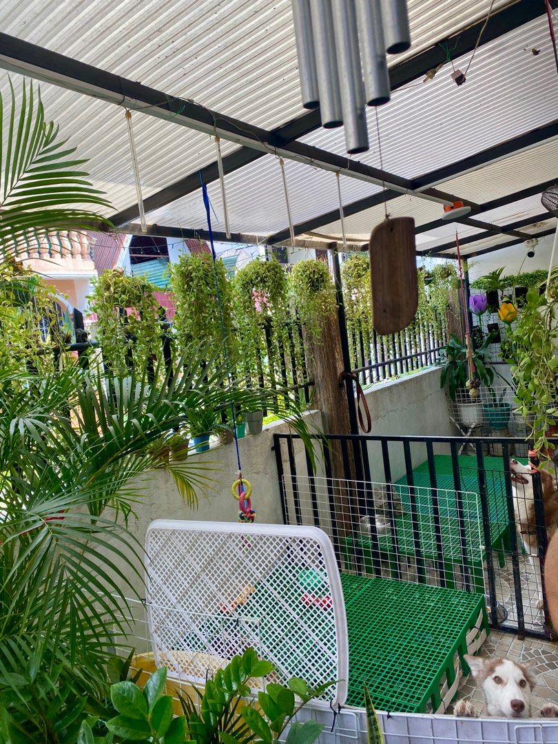 128 sq.m at arveemar angono, Property, For Sale, House & Lot on Carousell