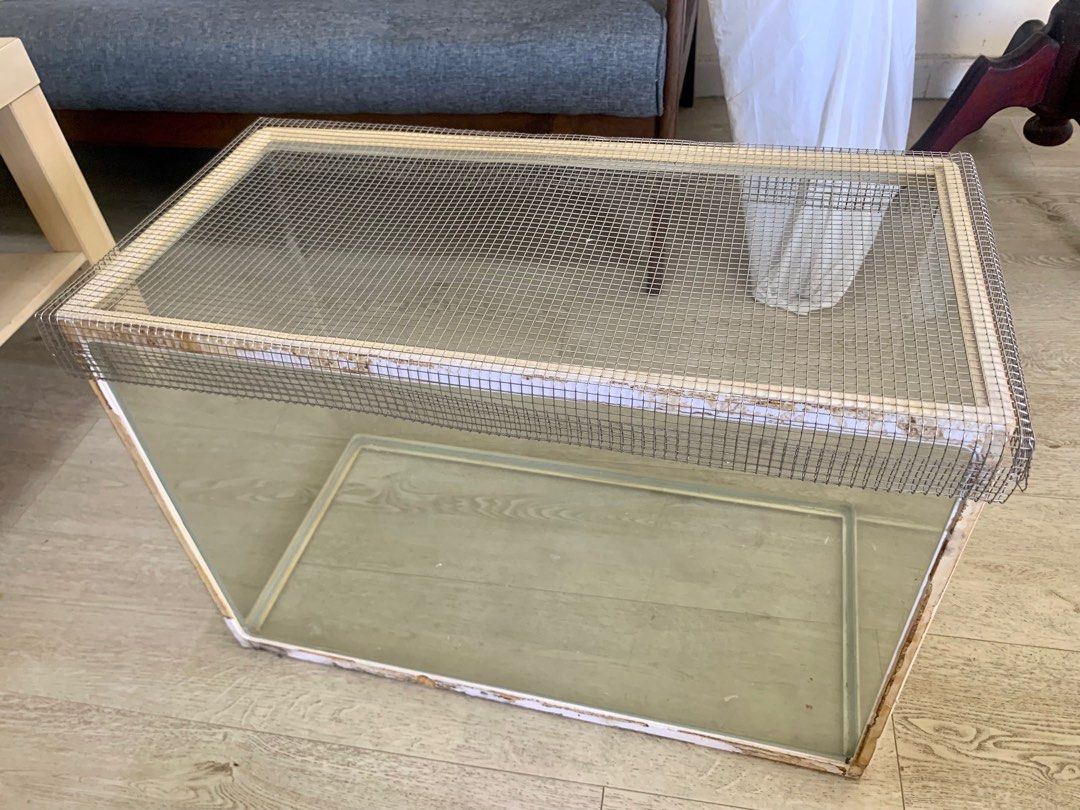 Can hamsters live in a glass tank on sale