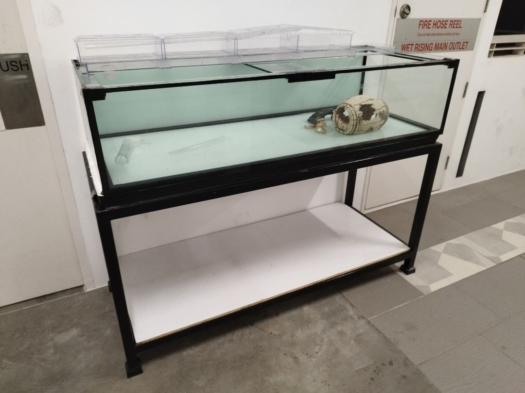 5ft aquarium online