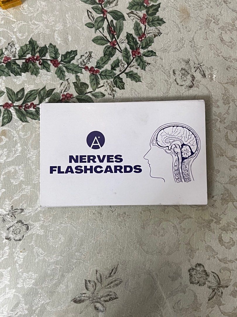 Anatomy Flashcards Set (Category: Textbooks) located in San Jose. Submitted by maui.mercs (Listing ID 1281231928, Image 3). Description: Super helpful for Med Students and PT/OT students ✨ AnaTommy Flashcards Set - Php 1,000 MOINA - Php 400 Bones Flashcards - Php 400 Nerve Flashcards - Php 300 RFS: Decluttering 😊 Shipping fee to be shouldered by the buyer .
