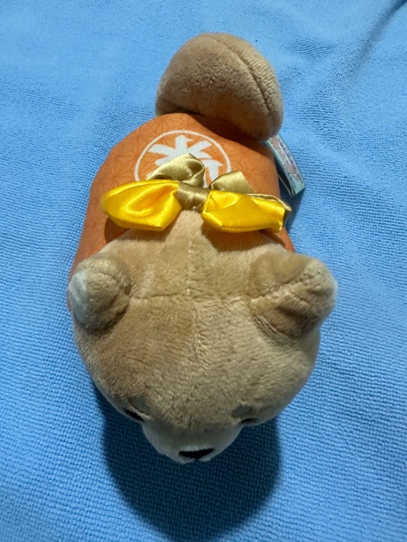 Cute small corgi plushie