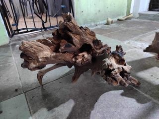 Hard Rottex Driftwood