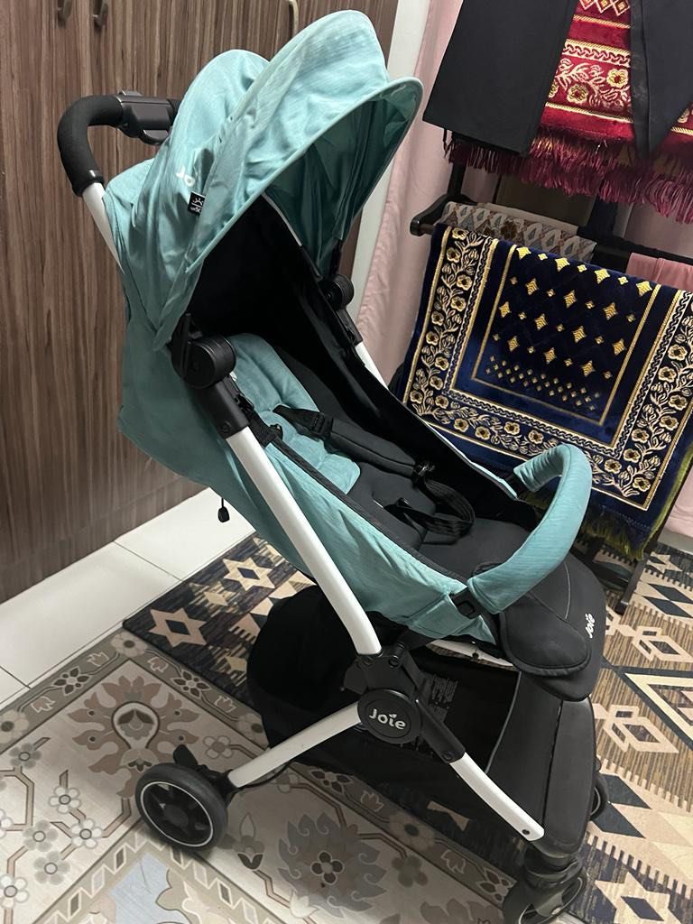 Joie online cabin stroller