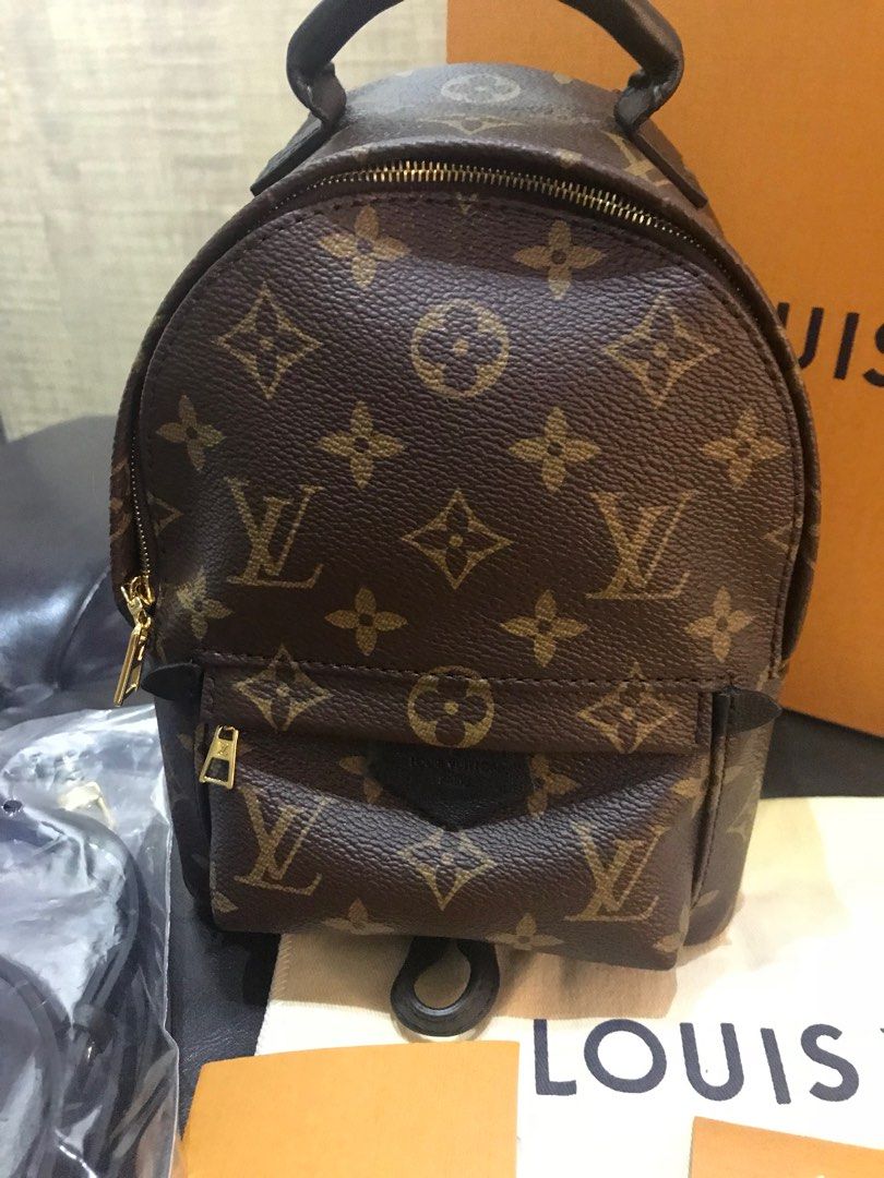 Lv palm spring 2025 mini