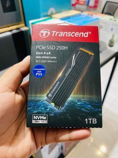 ✅✅Transcend 1TB PCIe M.2 SSD 2280 250H  (80mm) NVMe TS1TMTE250H