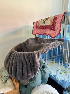 (Category: ) located in . Submitted by meowmick (Listing ID 1281230462, Image 1). Description: .