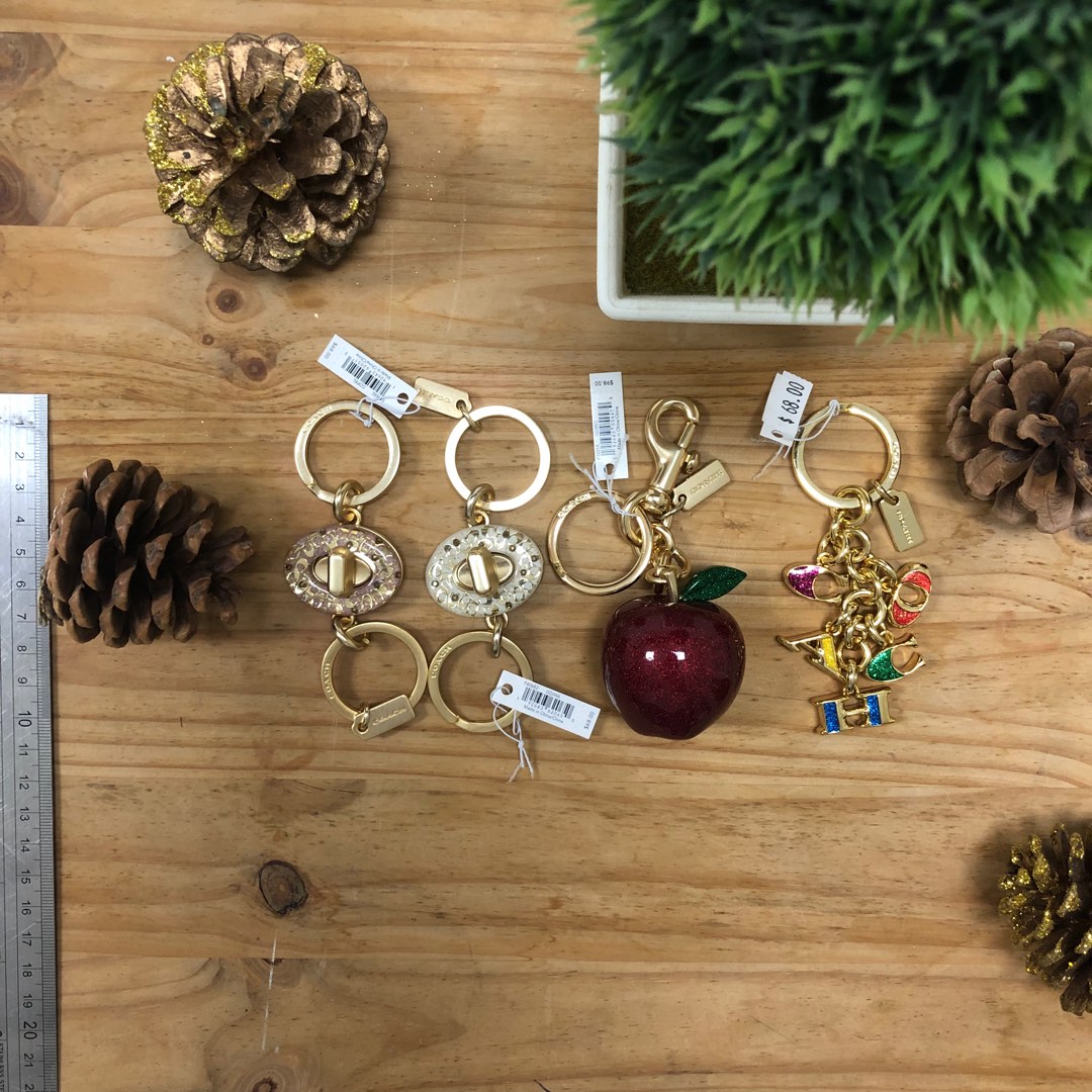 Coach best sale key charms