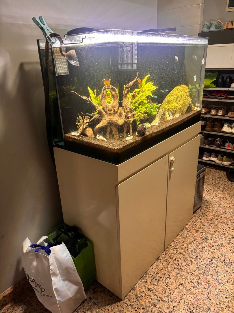 3ft fish tank set with cabinet and chiller, Pet Supplies, Homes & Other ...