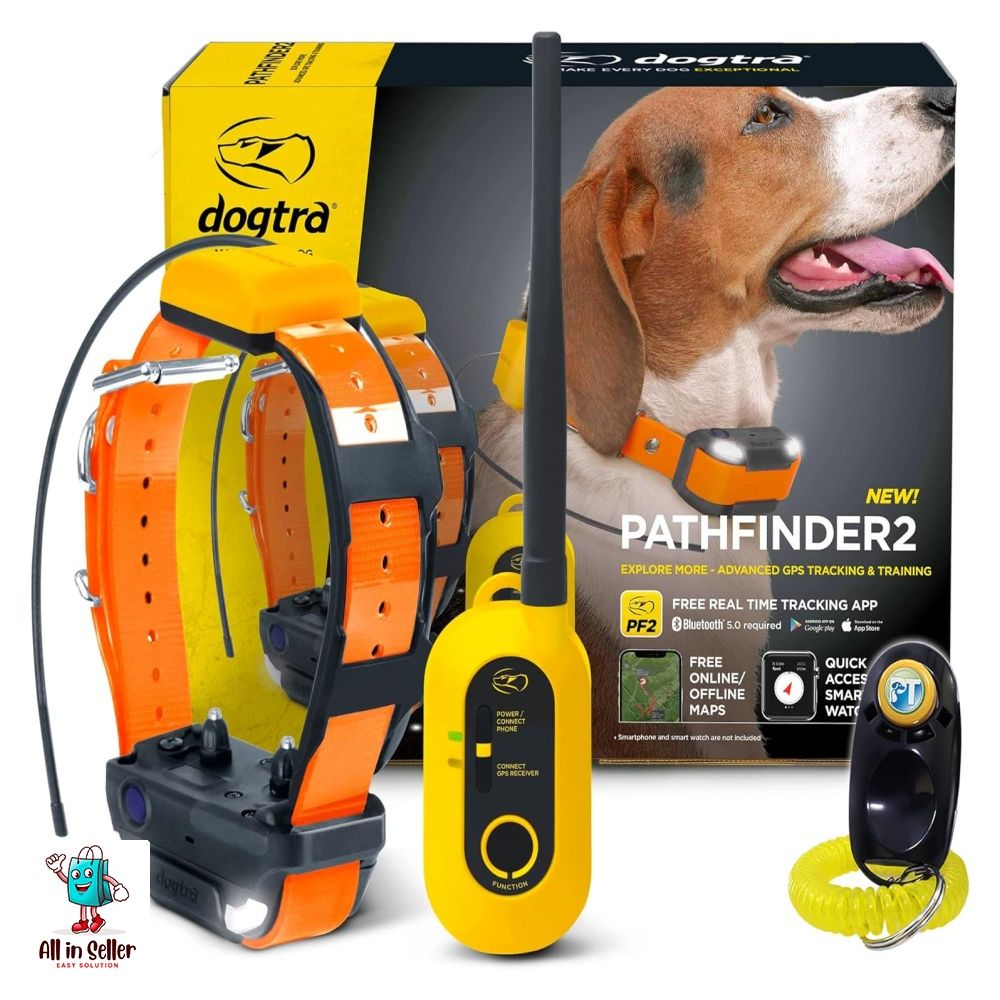Electric leash sale