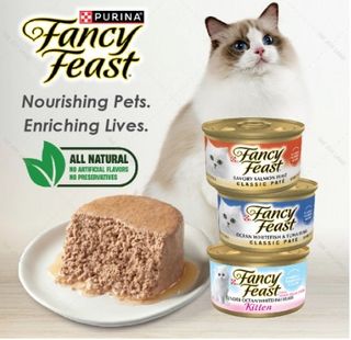 Fancy top feast sale