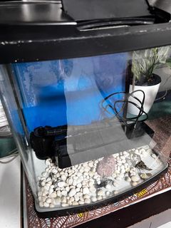 (Category: ) located in . Submitted by lhencpm (Listing ID 1281572139, Image 1). Description: .