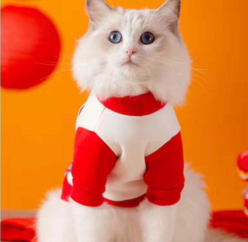 Chinese new year sweater best sale