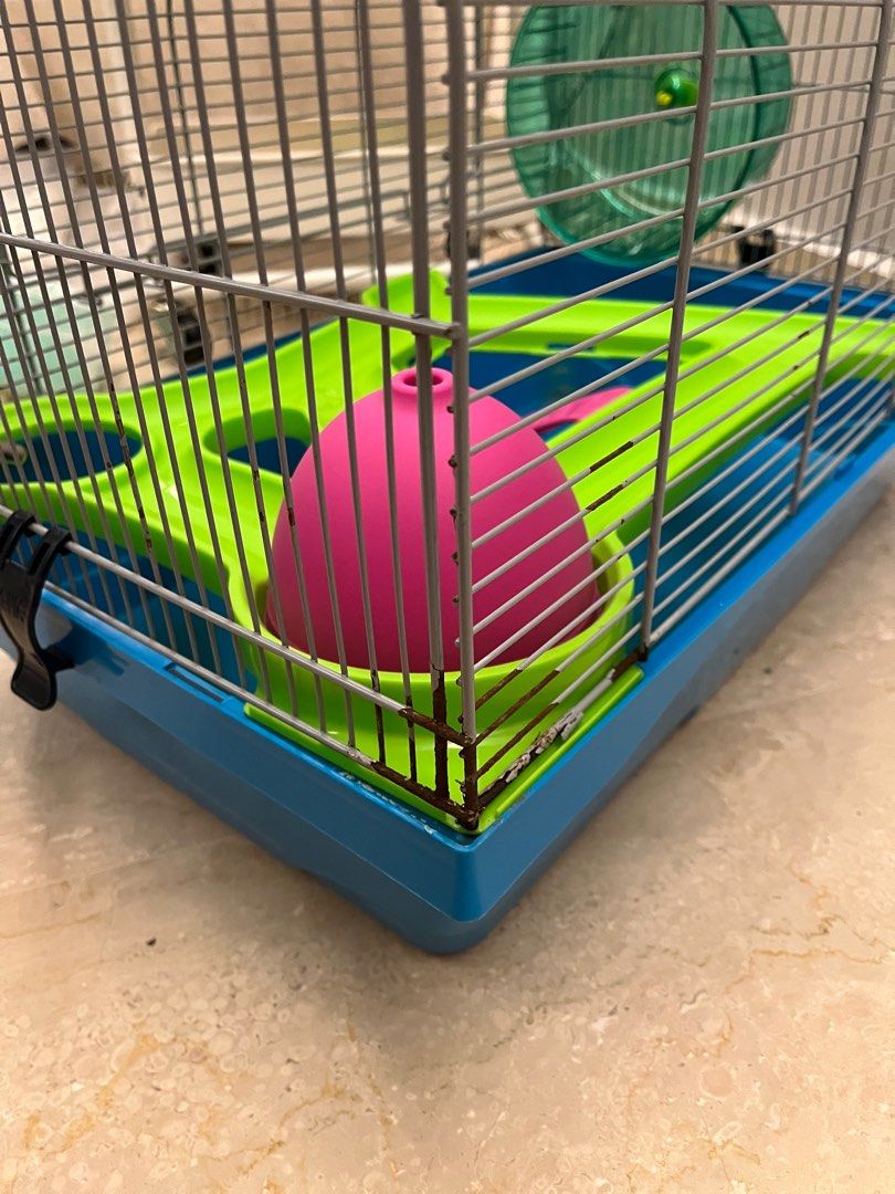 Hamster cage and accessories Pet Supplies Homes Other Pet Accessories on Carousell