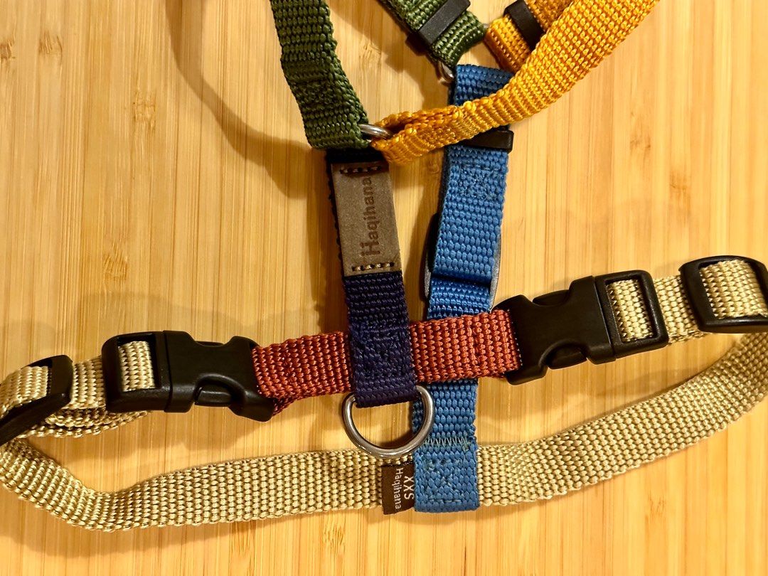 Haqihana multicolor dog harness clearance