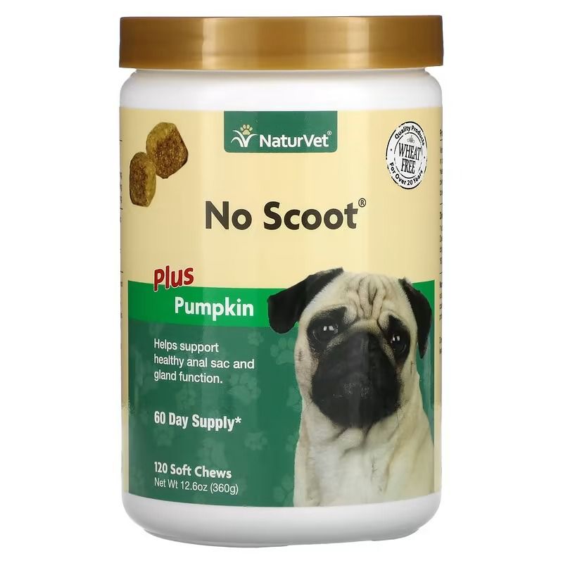 No scoot treats top