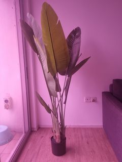 (Category: ) located in . Submitted by mohan.nz.mb (Listing ID 1281492982, Image 1). Description: .