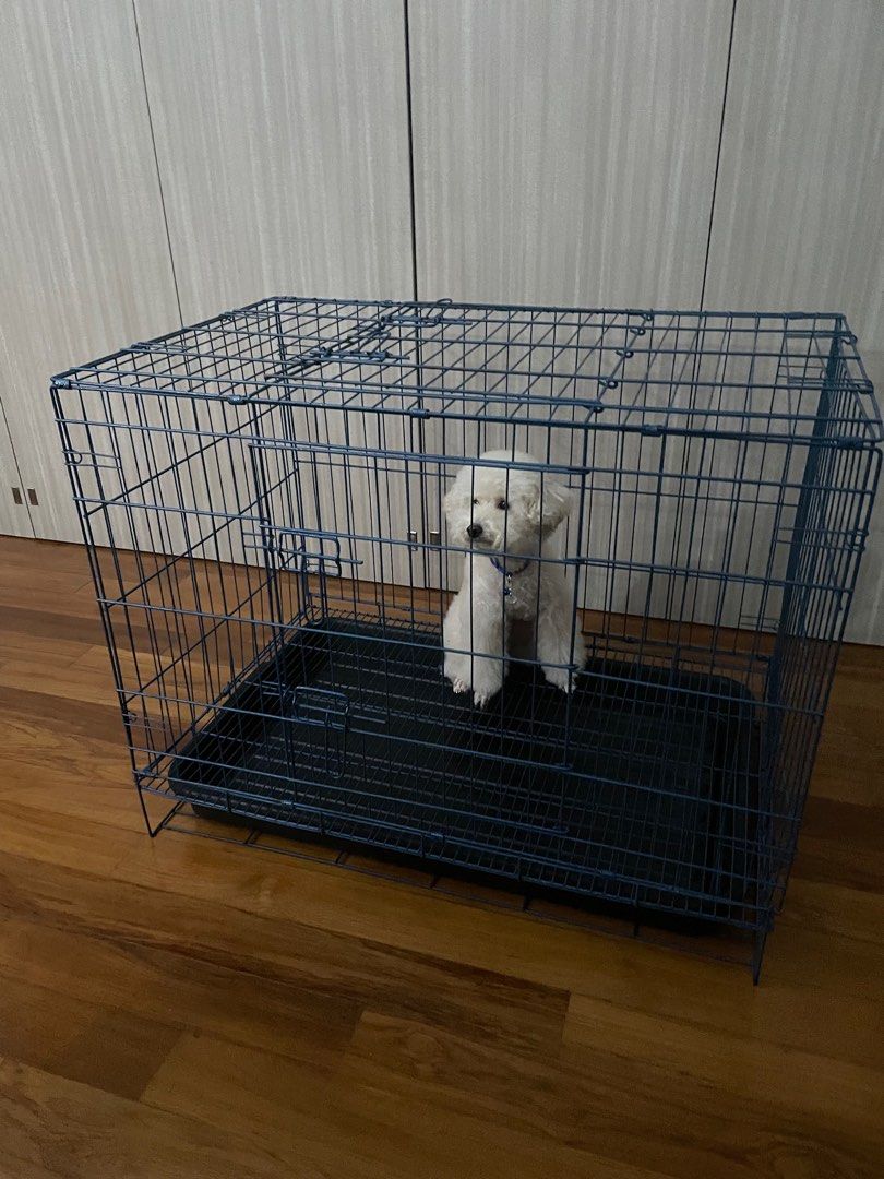 Large steel dog pet cage with tray Pet Supplies Homes Other