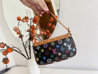 colorful louis bag