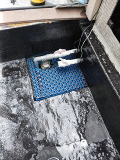 (Category: ) located in . Submitted by aquaticsolutions (Listing ID 1281504520, Image 1). Description: .